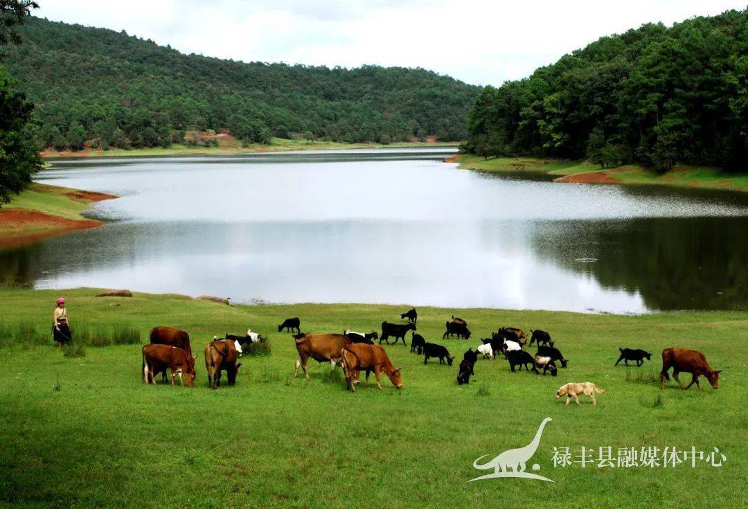 祿豐招聘網(wǎng)最新招聘,祿豐招聘網(wǎng)最新招聘動態(tài)，職業(yè)發(fā)展的黃金機(jī)會