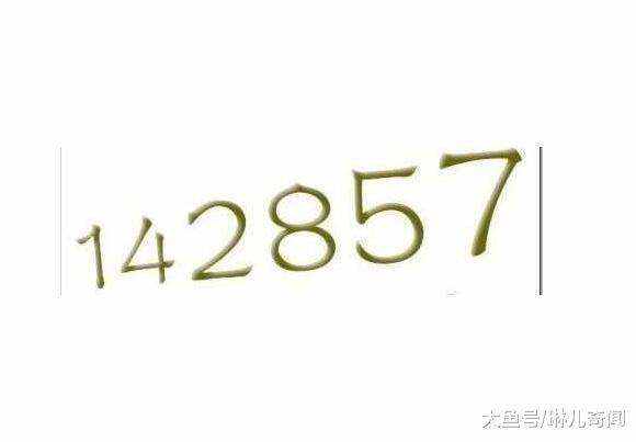 7777788888一肖一碼,探索神秘?cái)?shù)字組合，77777與88888一肖一碼的魅力與奧秘