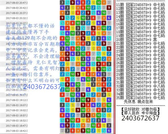 澳門王中王100%期期中一期,澳門王中王，揭秘期期中一期的秘密