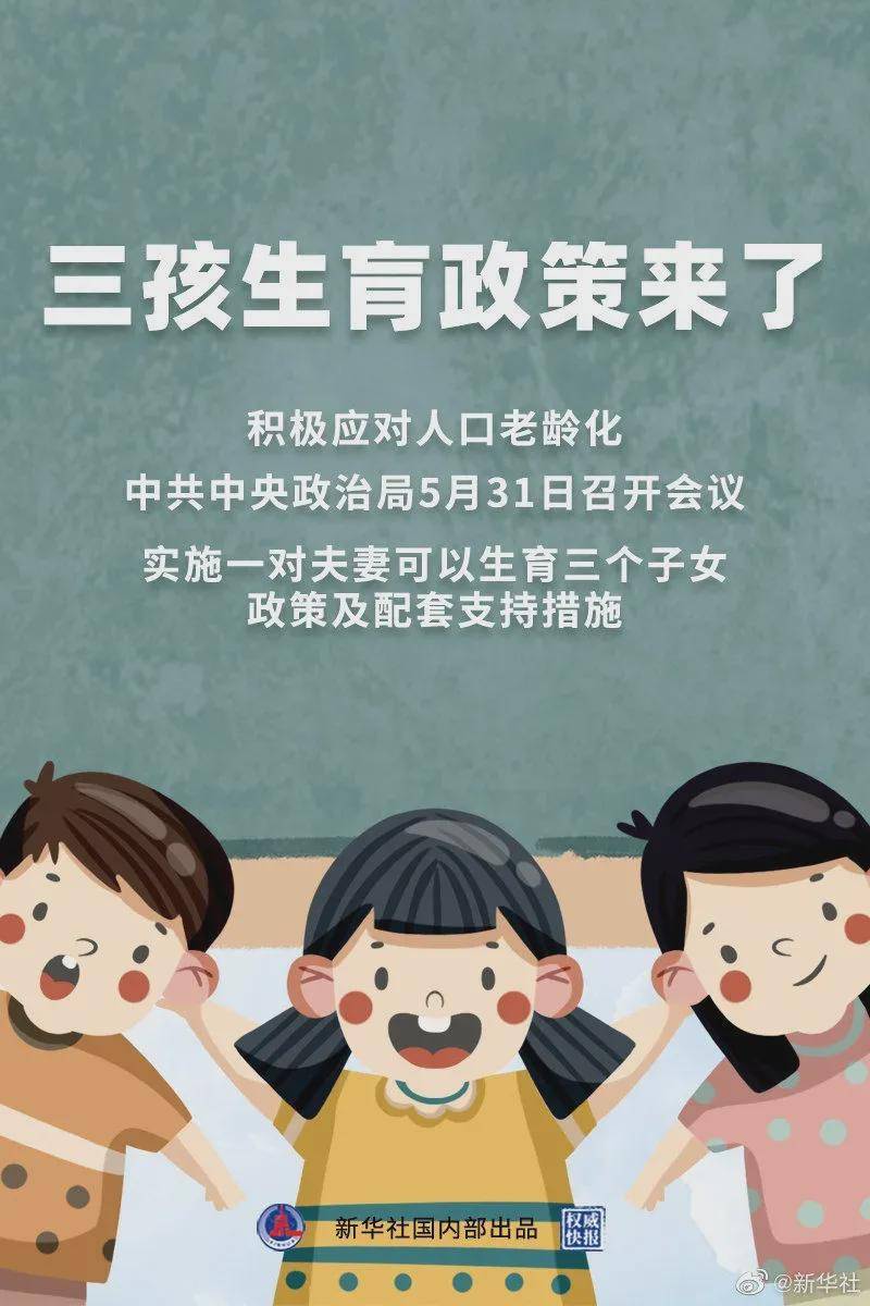 精準一肖100 準確精準的含義,精準一肖100，準確精準的含義與追求