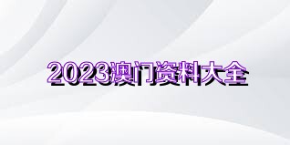 4949澳門免費精準大全,關于澳門免費精準大全的探討與警示