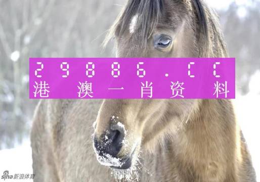 澳門一肖一碼100%精準(zhǔn),澳門一肖一碼，揭秘精準(zhǔn)預(yù)測的神秘面紗