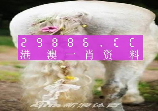 今晚一肖一碼澳門一肖四不像,今晚一肖一碼澳門一肖四不像，探索神秘預測背后的故事