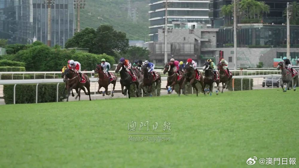 今晚澳門馬出什么特馬,今晚澳門馬會出什么樣的特馬？探索賽馬世界的神秘與魅力