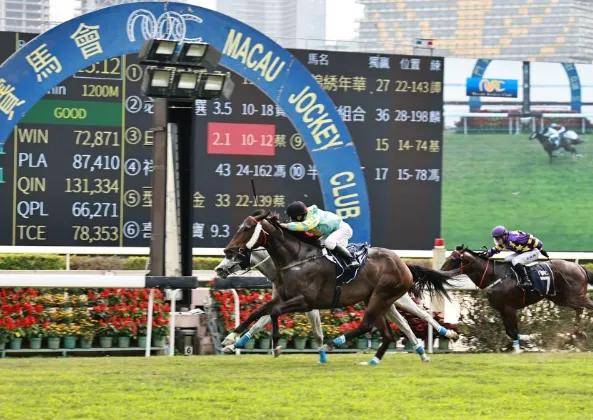 2025澳門特馬今晚開獎歷史,澳門特馬今晚開獎歷史，探尋歷史脈絡與未來展望