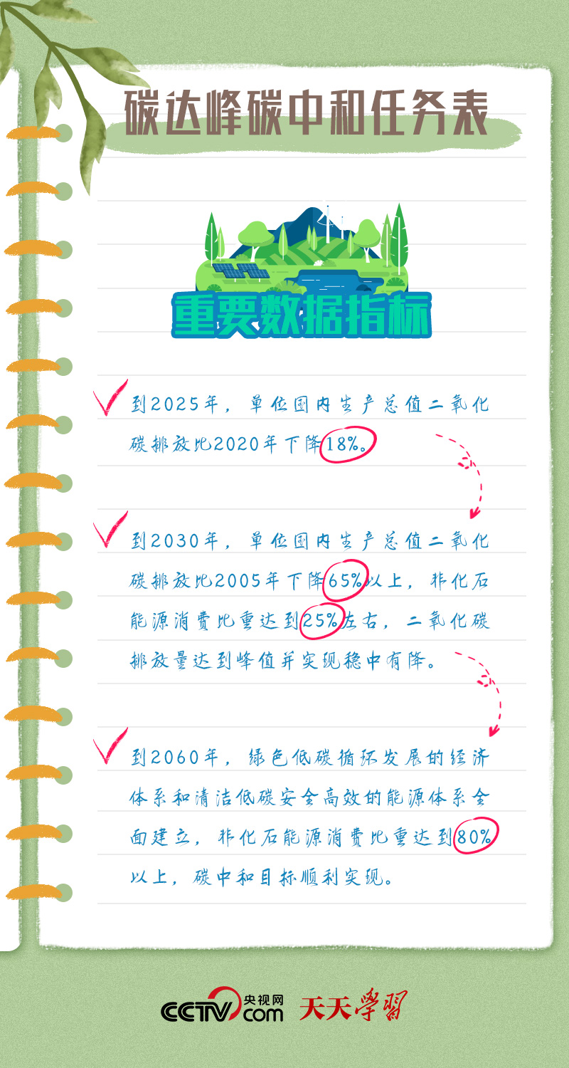 精準一肖100 準確精準的含義,精準一肖100，準確精準的含義與追求