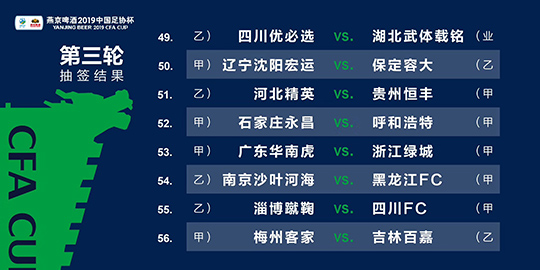 2025澳門(mén)今晚必開(kāi)一肖,澳門(mén)今晚必開(kāi)一肖，探索生肖彩票的魅力與玄機(jī)