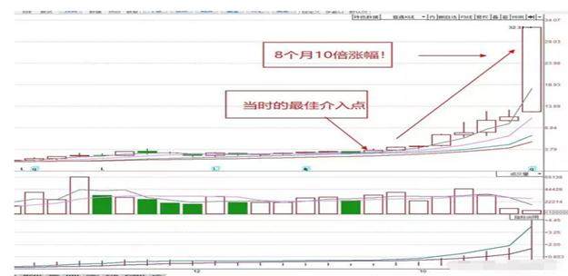 一碼一肖100準正版資料,一碼一肖，揭秘正版資料的精準世界