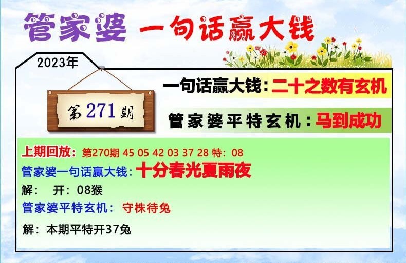 澳門一肖一碼100管家婆9995,澳門一肖一碼與管家婆9995，探索與解析