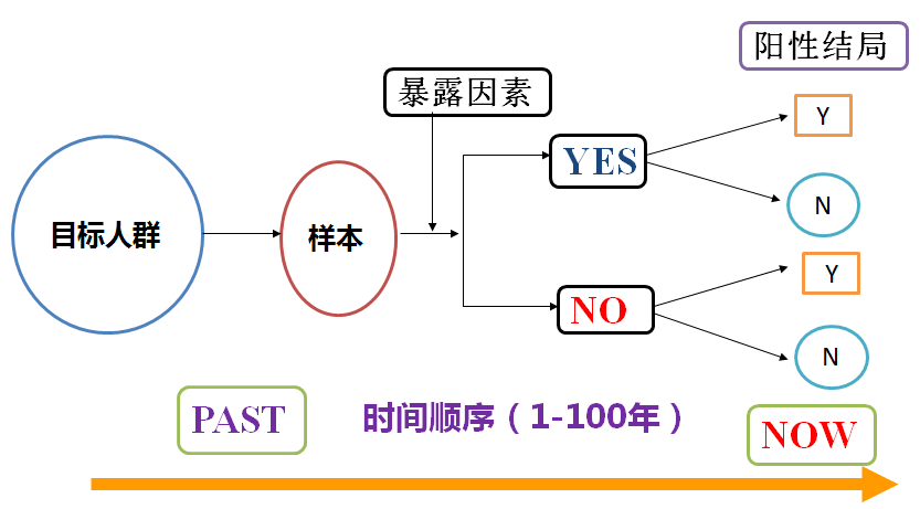 正版資料免費資料大全十點半,正版資料與免費資料大全，探索與利用的最佳時刻——十點半的魅力