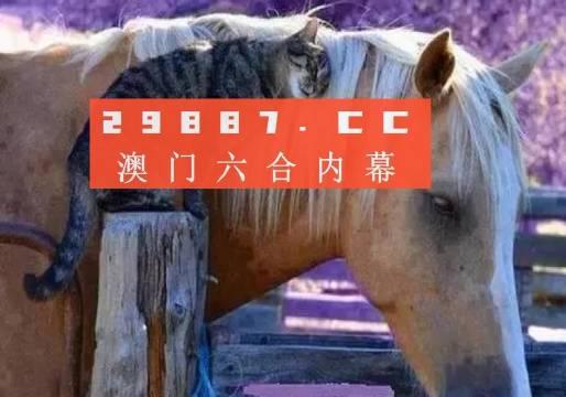 奧門全年資料免費(fèi)大全一,澳門全年資料免費(fèi)大全一，深度解讀與探索