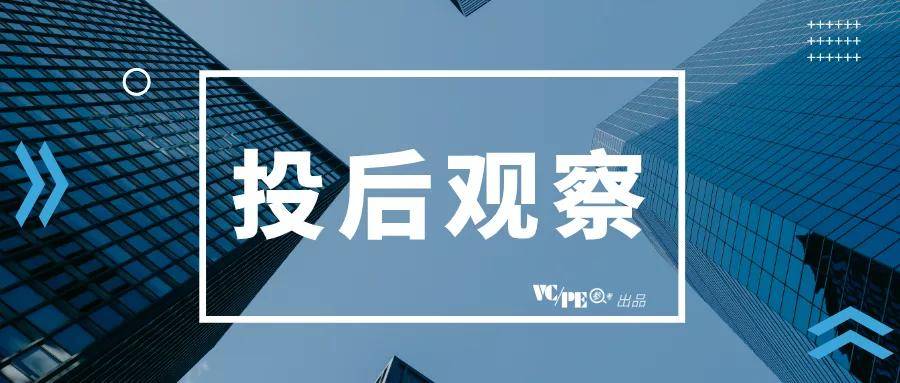 新奧精準資料免費提供(獨家猛料),揭秘新奧精準資料，獨家猛料，免費提供的價值瑰寶