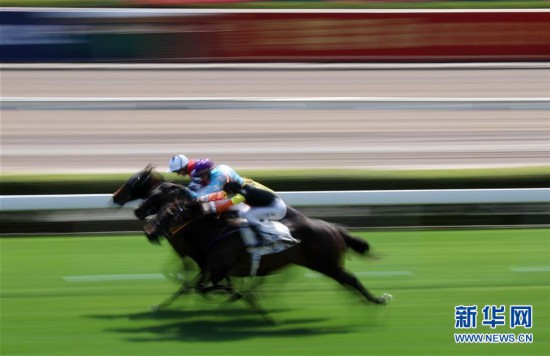 香港最準馬會資料免費,香港最準馬會資料免費，探索賽馬運動的魅力與公開資料的重要性