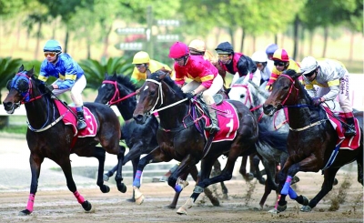 2025今晚香港開特馬,香港賽馬盛宴，今晚特馬盛宴的期待與激情