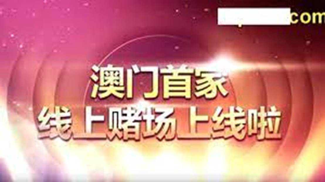 2004新澳門天天開好彩,2004新澳門天天開好彩——繁榮與活力的象征