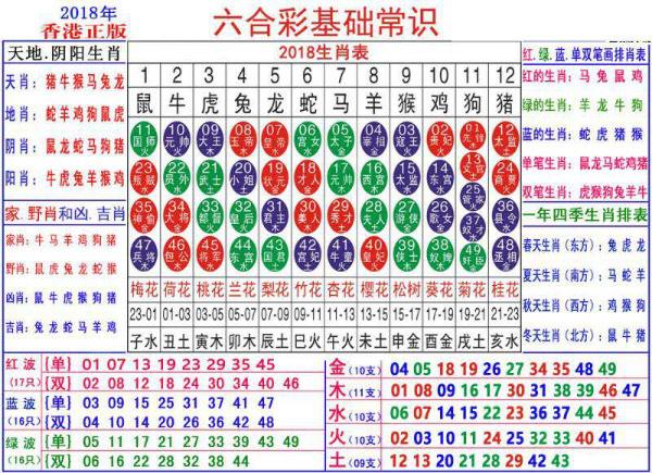 澳門正版資料大全資料生肖卡,澳門正版資料大全資料生肖卡，探索生肖文化的魅力與實用指南