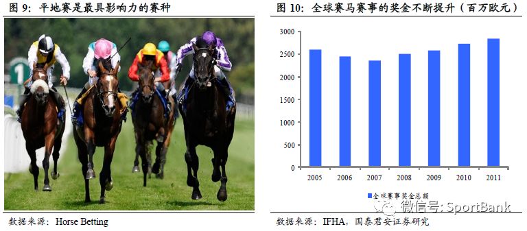 特馬資料,特馬資料，深入了解與探索