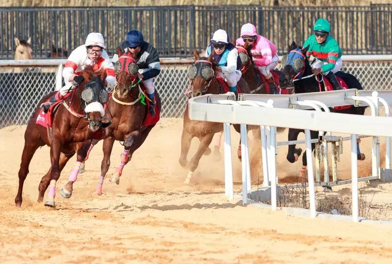 今晚澳門(mén)馬出什么特馬,今晚澳門(mén)馬出什么特馬，探索賽馬世界的神秘面紗