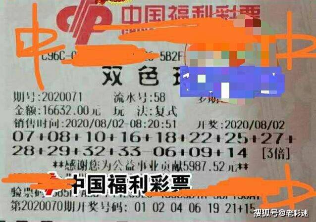 管家婆2025正版資料大全063期 02-06-11-14-32-46C：22,管家婆2025正版資料大全解析——探索第063期的數字奧秘