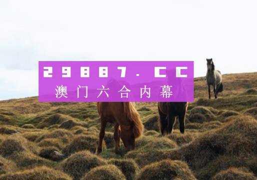 澳門最精準(zhǔn)真正最精準(zhǔn)龍門客棧130期 08-20-27-36-38-46S：06,澳門最精準(zhǔn)真正最精準(zhǔn)的龍門客棧130期揭秘，解密數(shù)字密碼的奧秘之旅