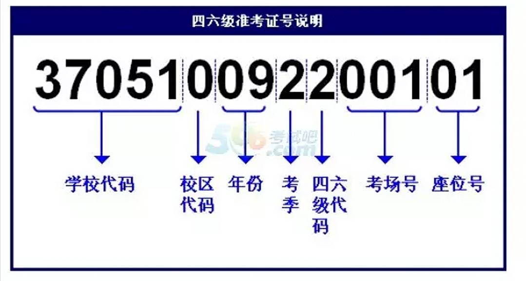 2025年2月 第176頁