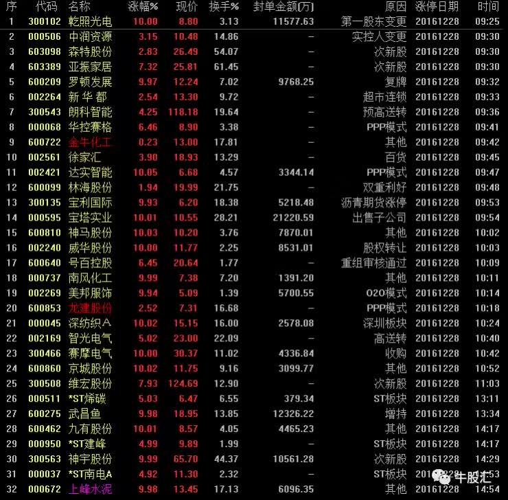 2025年2月20日 第31頁